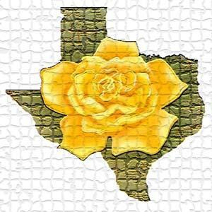 The City known as the Yellow Rose of Texas