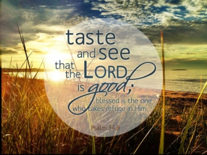 Magnify the Lord With Me