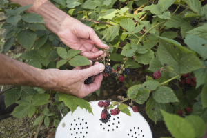 How is the soil in your life?