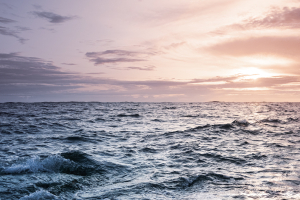 This is unprecedented!